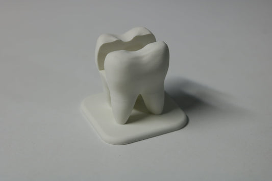 3D Tooth Business Card Holder — Dentist Office Desk Accessory